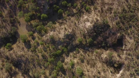 Area in the savanna aerial shot