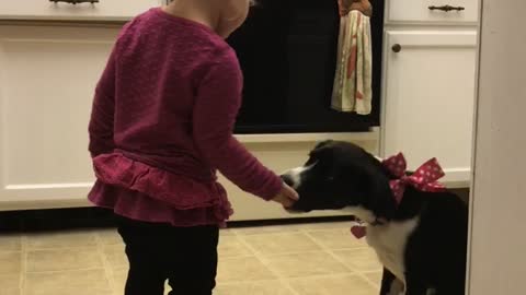 Toddler makes her puppy sit for treats