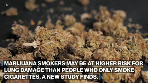 Marijuana smokers could be at more risk for emphysema than cigarette smokers_ Study