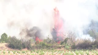 Wildfires ravage Spain as climate alarm sounded