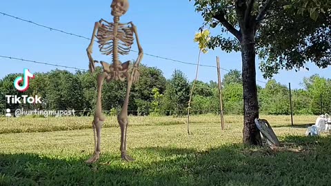 Skeleton dancing in my pet cemetery?