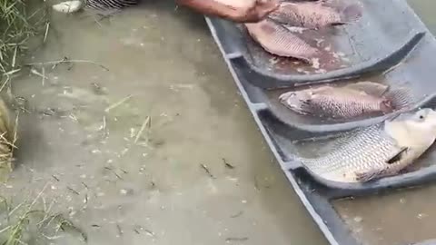 Amazing Fishing Video