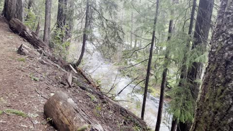 Approach to McKenzie River Bridge – Sahalie Falls & Koosah Falls Loop – Central Oregon – 4K