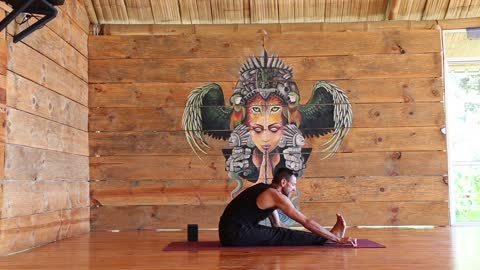 30 Minute Full Body Vinyasa Yoga Class