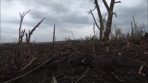 An assault on a Ukrainian stronghold in the Svatovsk direction by the Black Mamba detachment.