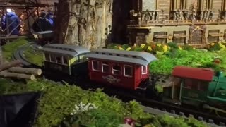 Train Show 2023 - New York Botanical Garden - Secret Garden - Bruce Springsteen