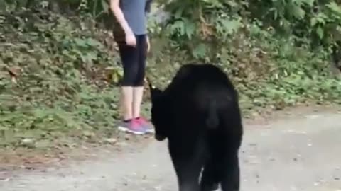 Bear attack on girls in the forest😬😬😬😨