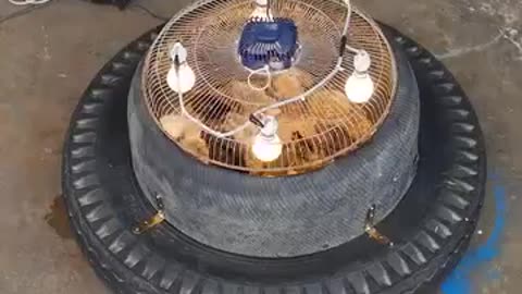 making an egg incubator