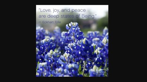 Soul of the EveryMan - Joy Peace Love - BEING