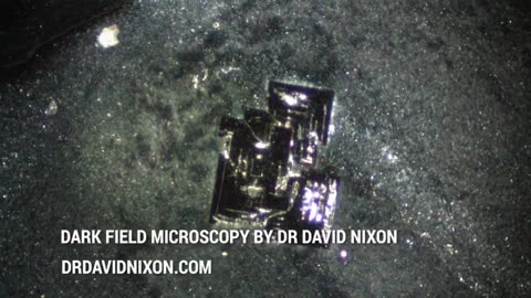 Dr. David Nixon Reveals Vaccine Mysteries With Darfield Microscopy alldeles nyss