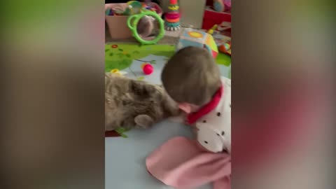 Cutest Babies Play With Cats 3