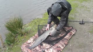 Brookside Fishery Catfish Madness