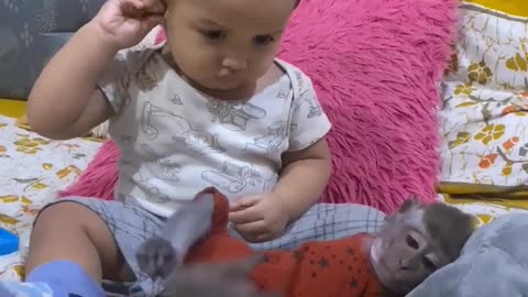Baby and Monkey Interaction: Create a cute and funny video of a baby and a monkey