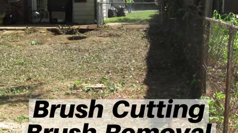 The Best Brush Cutting Needmore Pennsylvania Brush Removal