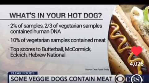 Hot Dogs, Are Not Dogs
