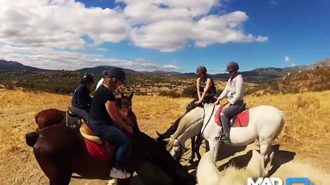 Horseriding in Madrid's National Park Sierra de Guadarrama