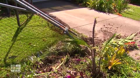 Queensland mum scares off three armed intruders with bug spray | 9 News Australia