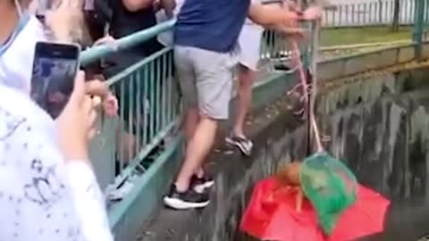 Jalan Besar residentshoist cat out of canal with umbrella contraption