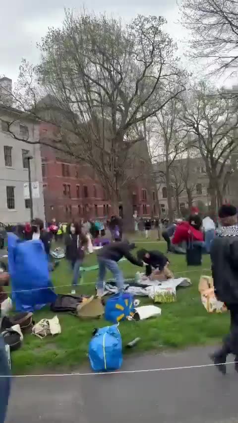 Pro-Palestine protesters Storm Harvard University and setup an encampment in Harvard Yard.