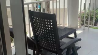Girl Runs into Glass While Showing Terrace of a Flat