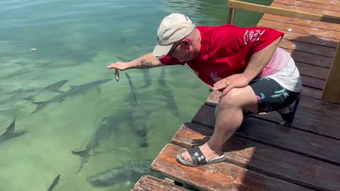 Caye Caulker Belize, A must do!!