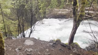 Approach to Top of Koosah Falls – Sahalie Falls & Koosah Falls Loop – Central Oregon – 4K
