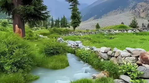 Thorchy Meadows Pakistan ❤️