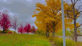 Oakville Ontario Canada, Oct-29-2023. Drive through exploration.A town full of colours🥰.