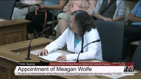 Part 2 - WI. Senate Public Hearing WEC Admin. Wolfe Contract Retention