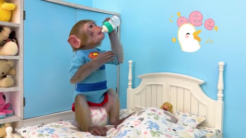 Monkey baby Bon Bon🐵