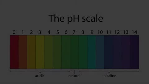 Shungite Water Test | Shungite