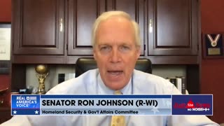 Sen. Johnson says a ‘much larger story’ extends beyond the Hunter Biden investigation