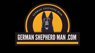 Why do dogs eat poop With German Shepherd Man