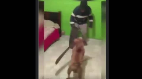 Dog attacks man with a sword