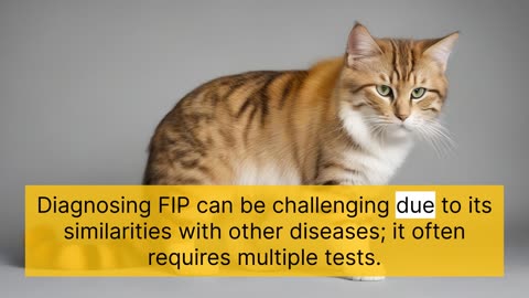 Feline infectious peritonitis (FIP): Definition, Prevention, and Treatment