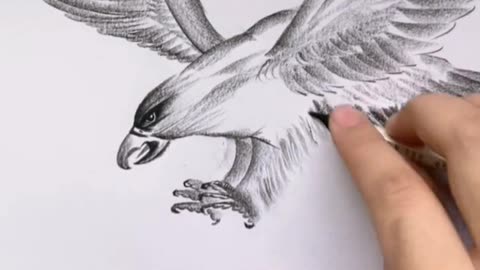 Amazing eagle drawing