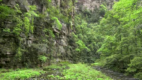 "Avatar" Mountain & Wulingyuan Scenic Area