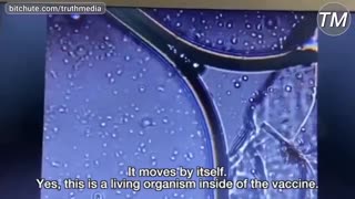 Another Living Organism Found Inside Pfizer Mark of the Beast Vaccine - 10-11-21