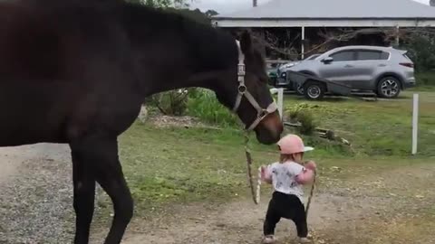 #Little girl leads tha horse!!