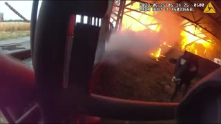 Wisconsin police officer rescues cows trapped in burning barn