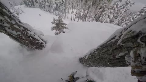 Dramatic Snowboarder Rescue Caught on GoPro Video in British Columbia