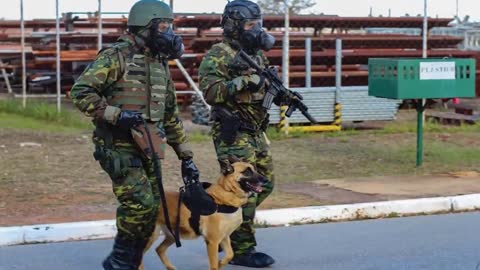 Brasil se Prepara para Guerra Nuclear