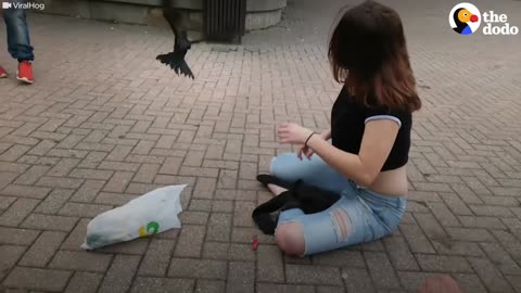 Crow Stuck in Garbage Rescued by AWESOME Woman | The Dodo