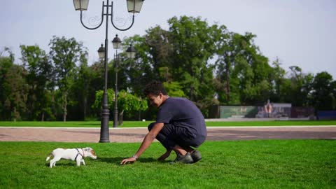 Young handsome african man playing with puppy in the park running together on the green grass