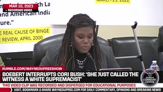 Lauren Boebert Interrupts Cori Bush In Hearing; 'She Just Called The Witness A White Supremacist!'