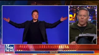 Greg Gutfeld stands up for Elon Musk and says the quiet part out loud