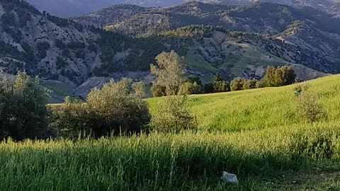 Moroccan Mountains Taza