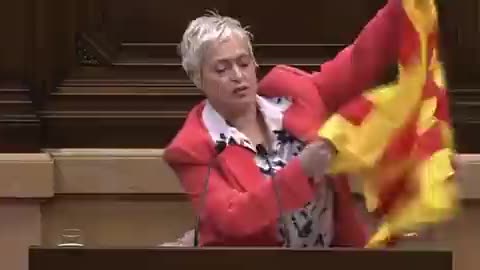 CENSURA E HISPANOFOBIA| Erra (Junts) corta el micrófono y amenaza a Grau (Cs) por bandera de España