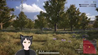 short PUBG stream, Conservative VTuber