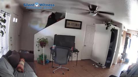 Glendale Police Release Shocking Video of Home Robbery